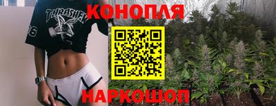 гашик Изобильный