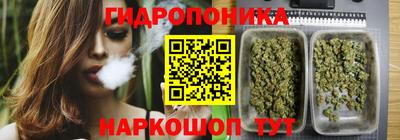 apvp Ирбит